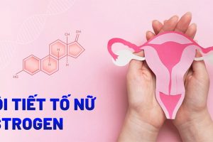 cach-bo-sung-estrogen-cho-phu-nu-1