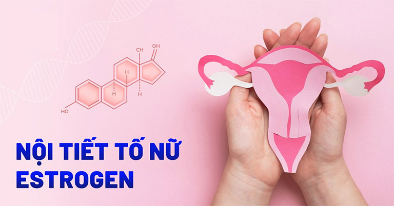 cách bổ sung estrogen cho phụ nữ