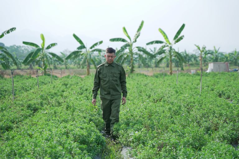 Phát triển cây thuốc Việt, bài thuốc Nam, nâng tầm vị thế Nam Dược Việt là mục tiêu của đội ngũ lương y bác sĩ Đỗ Minh Đường