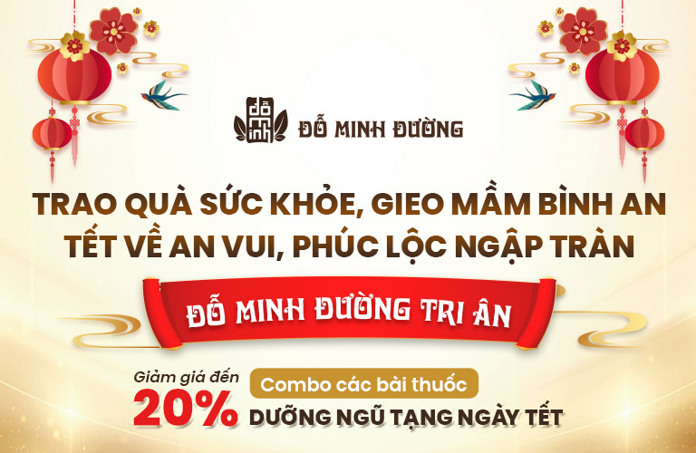 Chương trình Tết ý nghĩa của Đỗ Minh Đường