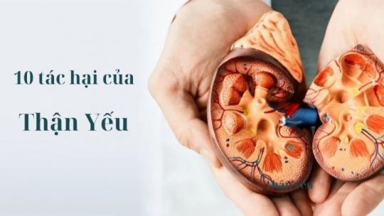 Thận yếu gây ra rất nhiều tác hại đối với sức khỏe