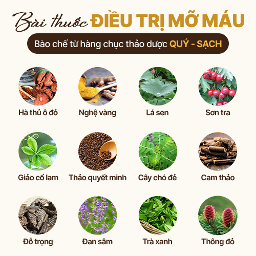 thanh-phan-bai-thuoc.jpg