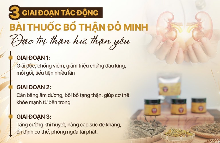 cac-giai-doan-bo-than-do-minh-DMD-PR-11.jpg