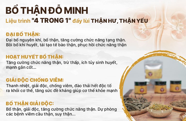 Liệu trình kết hợp 4 trong 1 bài thuốc Bổ thận Đỗ Minh