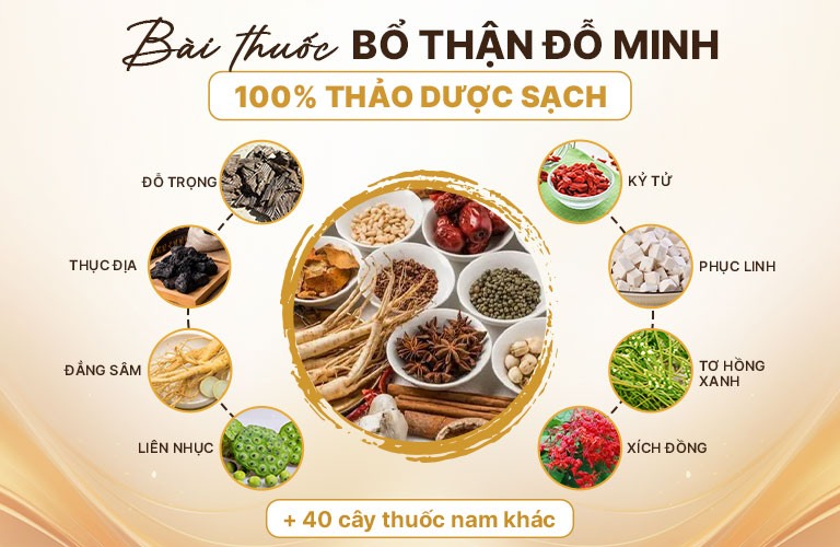 thanh-phan-bai-thuoc-bo-than-do-minh-PR-07-2.jpg