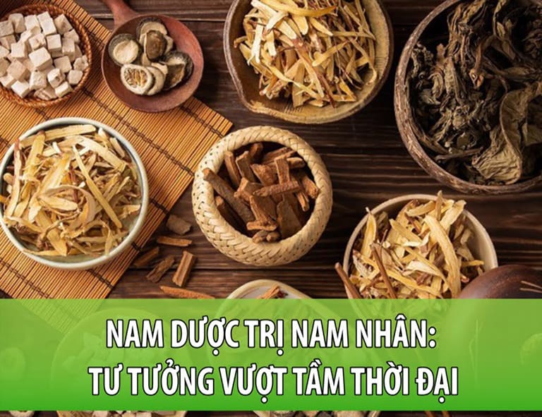 thien-su-tue-tinh-kho-tang-thuoc-nam-2.jpg