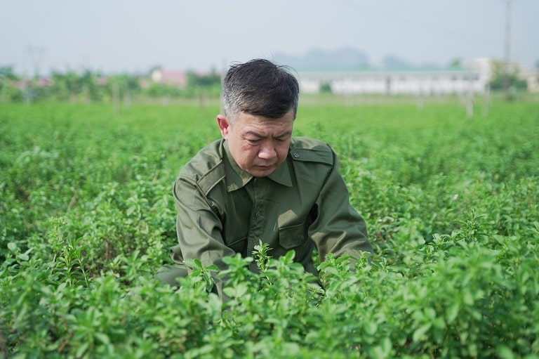 vuon-duoc-lieu-do-minh-duong-4.jpg