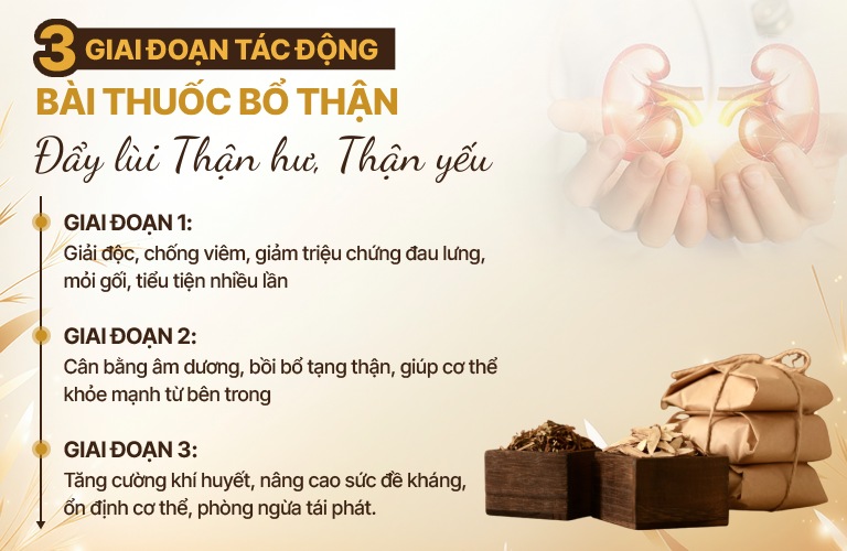 cac-giai-doan-bo-than-do-minh.jpg