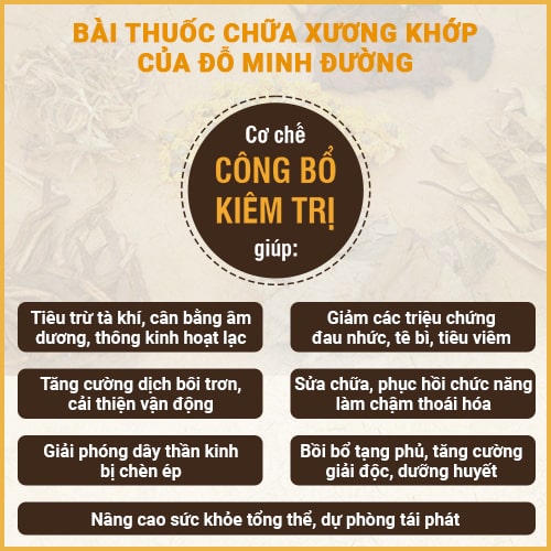 Cơ chế điều trị