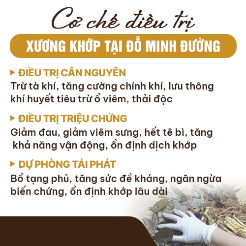 Cơ chế điều trị