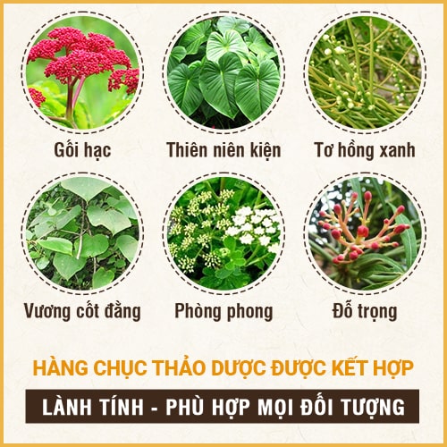 Thông tin bài thuốc chữa thoái hóa cột sống của Đỗ Minh Đường