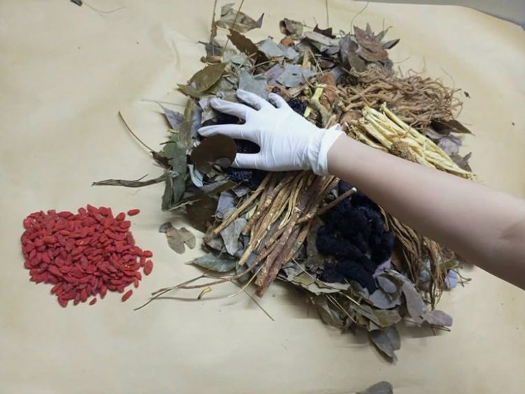 Bài thuốc xương khớp của Đỗ Minh Đường được gia giảm linh hoạt