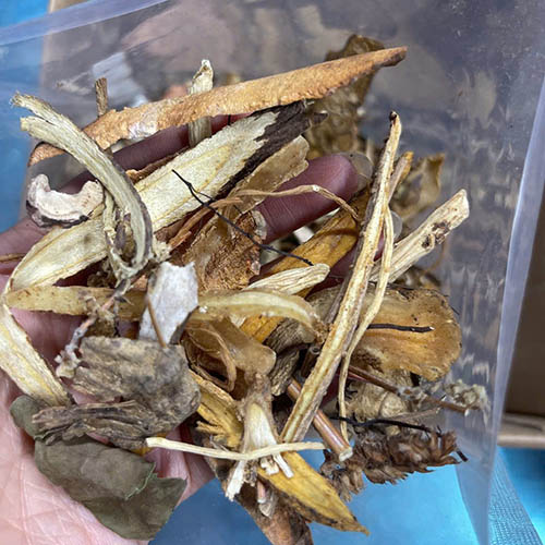 Bài thuốc Viêm Mũi Dị Ứng Đỗ Minh Đường