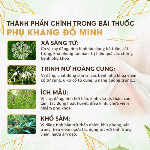 Khám phá bài thuốc Phụ Khang Đỗ Minh