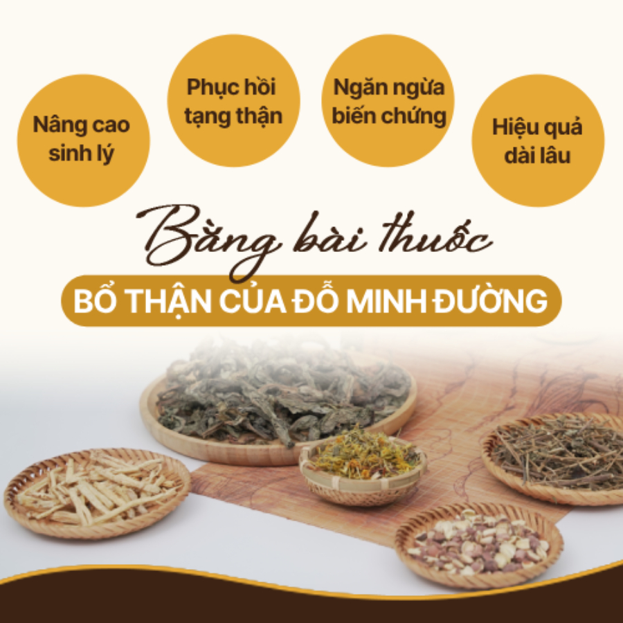 Khám phá bài thuốc chữa thận hư của Đỗ Minh Đường