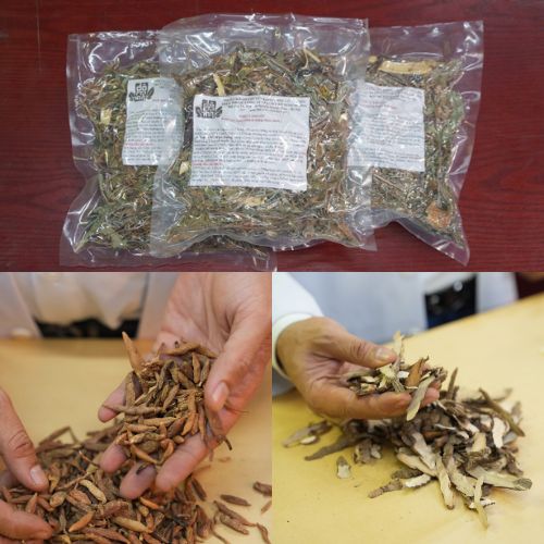 Bài thuốc nam chữa viêm họng hạt Đỗ Minh Đường
