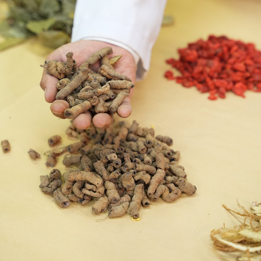 Thông tin bài thuốc chữa mộng tinh Đỗ Minh Đường