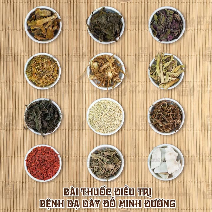 Thông tin bài thuốc chữa đại tràng của Đỗ Minh Đường