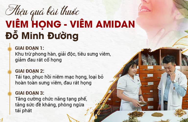 Các giai đoạn tác dụng