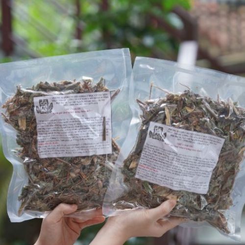 Khám phá bài thuốc chữa sỏi thận của Đỗ Minh Đường