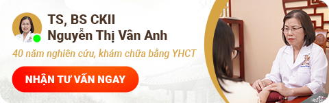CTA-Bac-si-Van-Anh.png