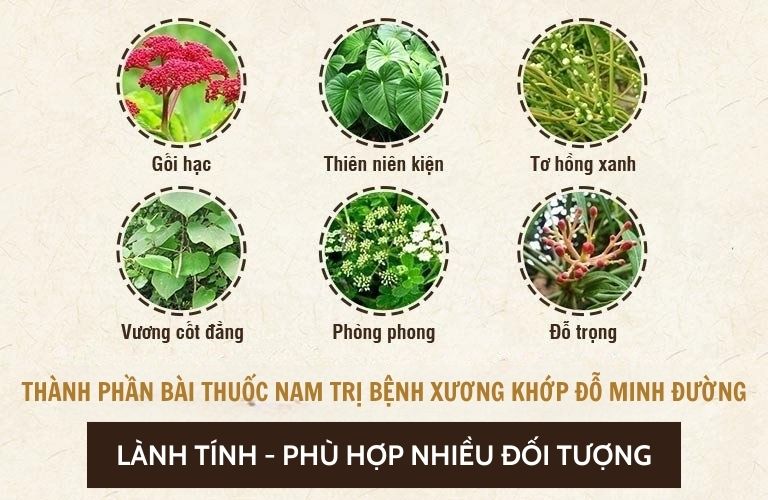 thanh-phan-bai-thuoc-xuong-khop-do-minh-duong.jpg