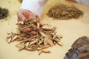 thao-duoc-bai-thuoc-xk-dmd