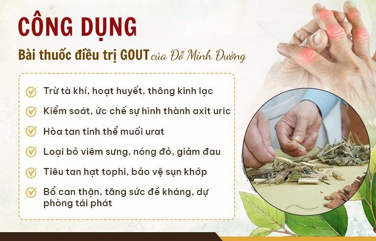 CONG-DUNG-BAI-THUOC-GOUT-DO-MINH-DUONG.jpg