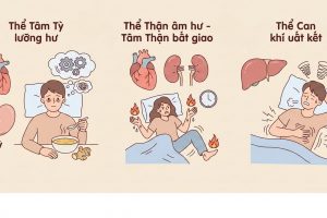 Giải mã 3 thể mất ngủ do rối loạn tạng phủ và cách bồi bổ khí huyết