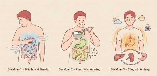 Giải pháp dạ dày Nam y - 3 giai đoạn Công Bổ bền vững