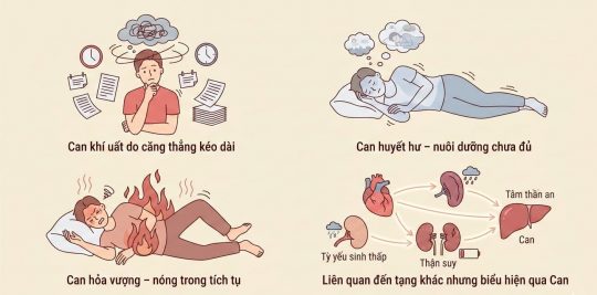 Hay tỉnh 1–2 giờ sáng - Giờ Can lên tiếng