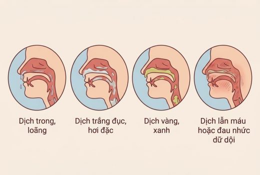 Nhìn 4 màu dịch biết hàn- nhiệt-thấp