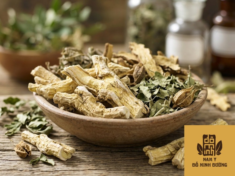 bạch tiên bì đặc trị ngứa vùng kín và viêm da nấm bạch tiên bì đặc trị ngứa vùng kín và viêm da nấm