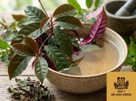 tam-nuoc-la-don-do-giam-sung-tay-va-man-do-1