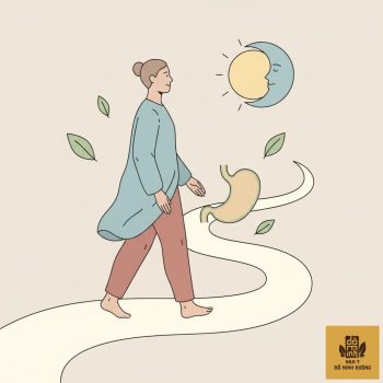 thumb-bai-viet-di-bo-nhe-10-phut-sau-an