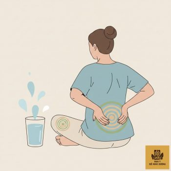 thumb-bai-viet-huyet-ho-tro-dao-thai-soi