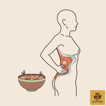 thumb-bai-viet-than-yeu-lien-quan-tieu-hoa-kem