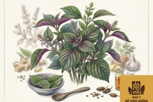 tia-to-an-song-giam-trieu-chung-di-ung-hai-san-1